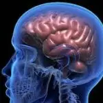 Mystery brain disease