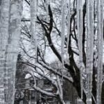 Schools Closed on March 12, 2026 in Quebec: Ice Storm, Power Outages, and Freezing Rain Disrupt Classes