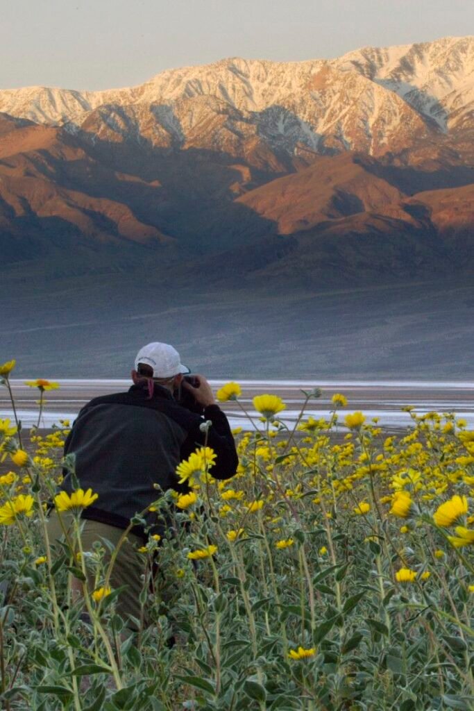 The Ripple Effect of Eco-Living: How Small Choices Can Change the Planet